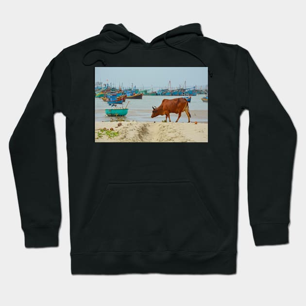 Cow on Mui Ne Beach Hoodie by jojobob